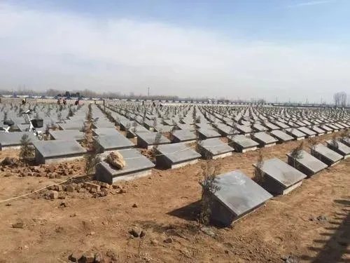 建议全面取消经营性公墓,这样做有什么好处?