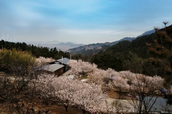 青岛12家景区免门票，都有哪些景区呢？