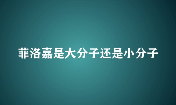 菲洛嘉是大分子还是小分子