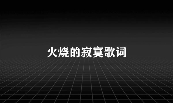 火烧的寂寞歌词
