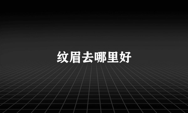 纹眉去哪里好