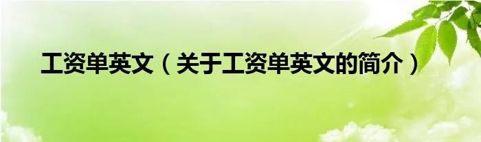 工资单英文（关于工资单英文的简介）