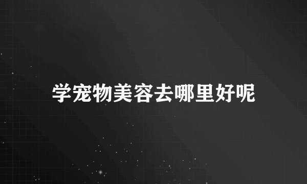 学宠物美容去哪里好呢