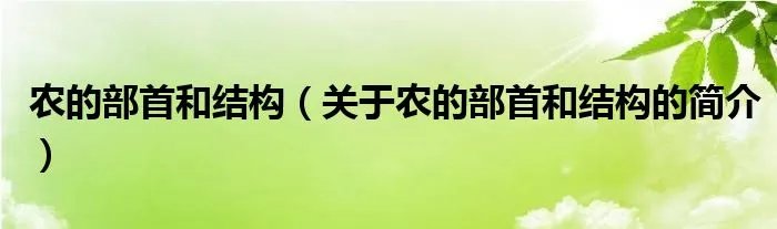 农的部首和结构（关于农的部首和结构的简介）