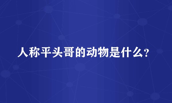 人称平头哥的动物是什么？