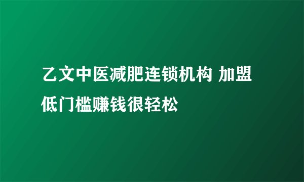 乙文中医减肥连锁机构 加盟低门槛赚钱很轻松