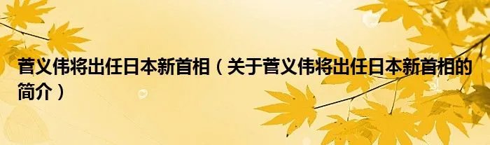 菅义伟将出任日本新首相（关于菅义伟将出任日本新首相的简介）