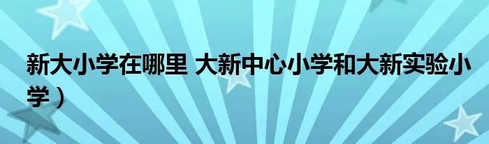 新大小学在哪里 大新中心小学和大新实验小学）