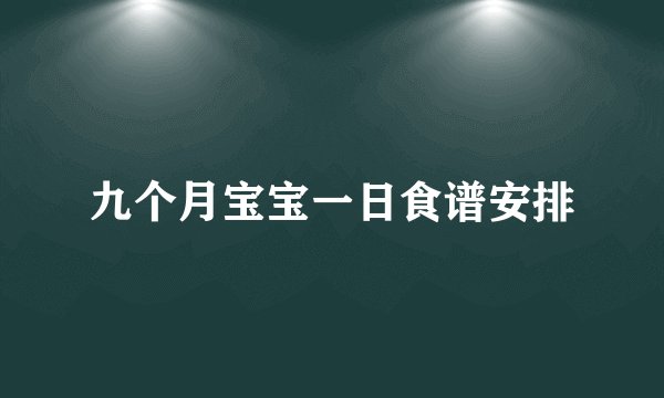 九个月宝宝一日食谱安排