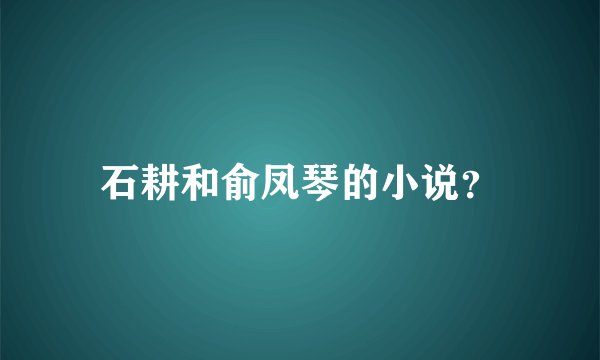 石耕和俞凤琴的小说？