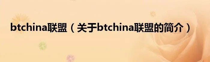 btchina联盟（关于btchina联盟的简介）