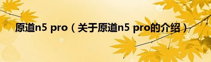 原道n5 pro（关于原道n5 pro的介绍）