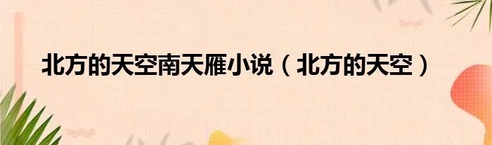 北方的天空南天雁小说（北方的天空）