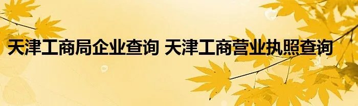 天津工商局企业查询 天津工商营业执照查询