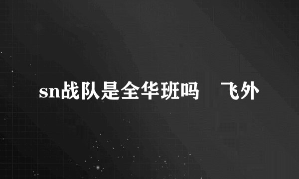 sn战队是全华班吗–飞外