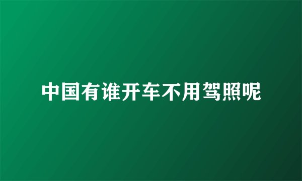 中国有谁开车不用驾照呢