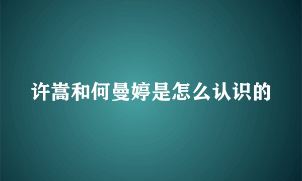 许嵩和何曼婷是怎么认识的