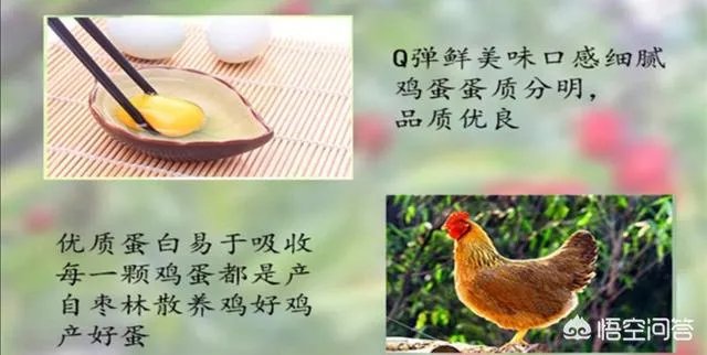 买土鸡蛋