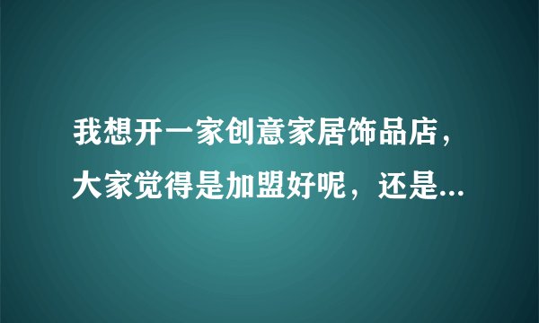 我想开一家创意家居饰品店，大家觉得是加盟好呢，还是自己进散货好？哪位有好的意见