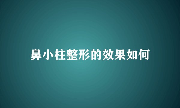 鼻小柱整形的效果如何