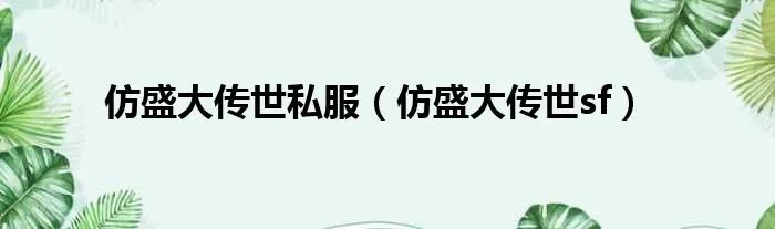 仿盛大传世私服（仿盛大传世sf）