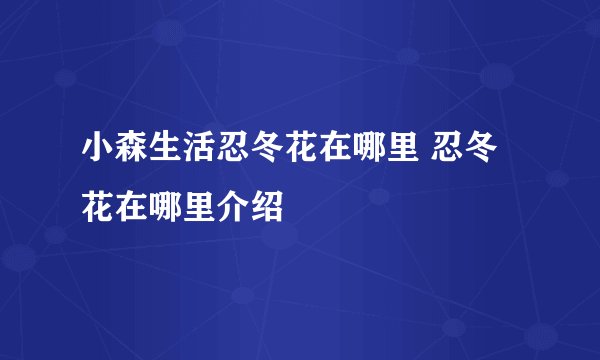 小森生活忍冬花在哪里 忍冬花在哪里介绍