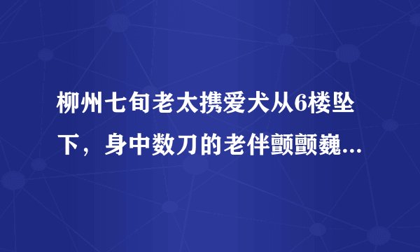 柳州七旬老太携爱犬从6楼坠下，身中数刀的老伴颤颤巍巍向楼下张望, 你怎么看？