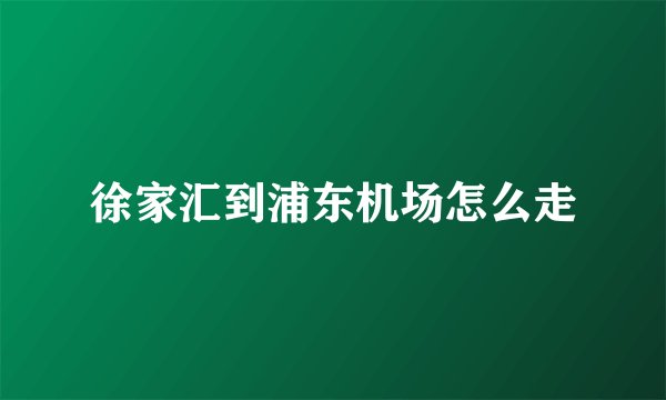 徐家汇到浦东机场怎么走