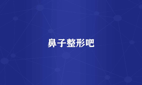鼻子整形吧