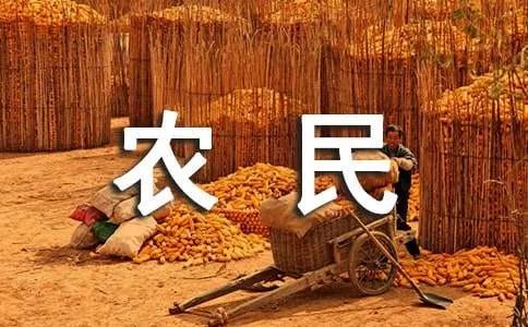 农民工讨薪标语