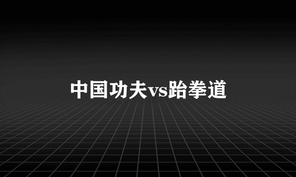 中国功夫vs跆拳道