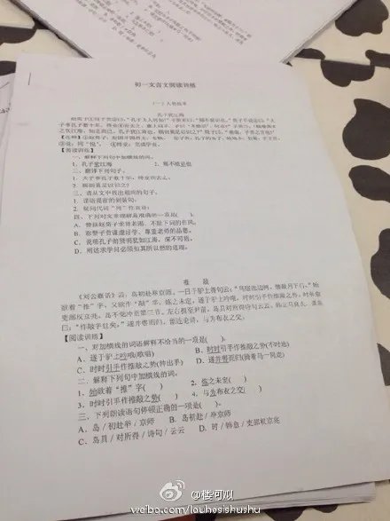 楼何姒的个人档案