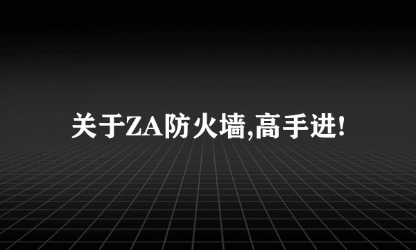 关于ZA防火墙,高手进!