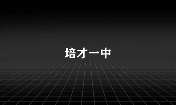培才一中