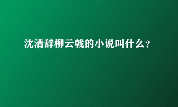 沈清辞柳云戟的小说叫什么？