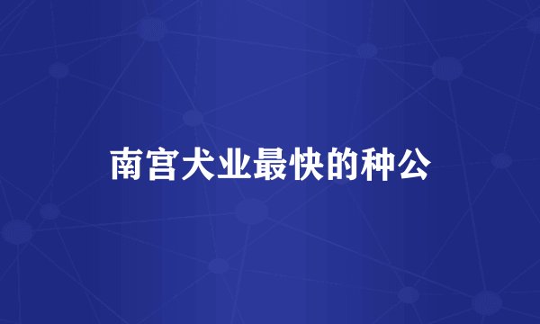 南宫犬业最快的种公