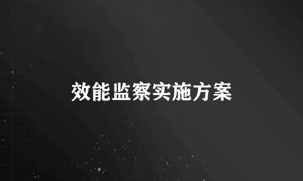 效能监察实施方案