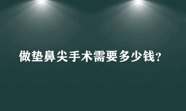做垫鼻尖手术需要多少钱？