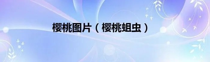 樱桃图片（樱桃蛆虫）