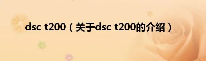 dsc t200(关于dsc t200的介绍)