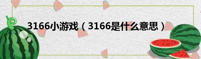 3166小游戏(3166是什么意思)