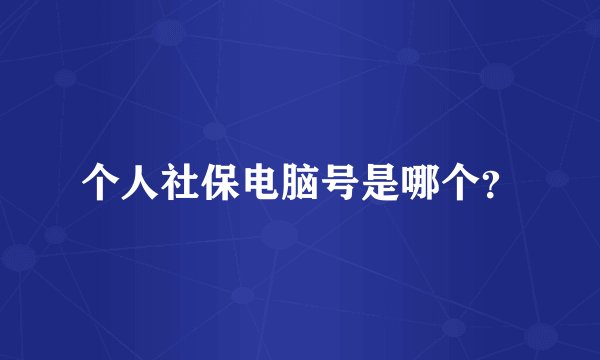 个人社保电脑号是哪个?
