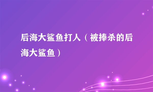 后海大鲨鱼打人（被捧杀的后海大鲨鱼）