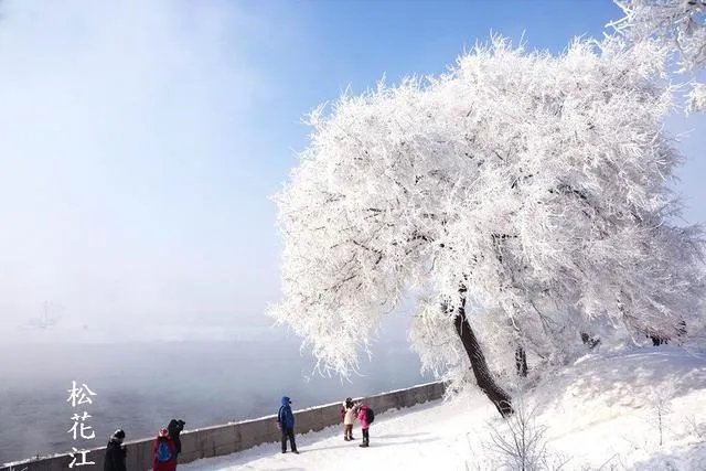 下联：千田连土土连田，如何对上联和横批？
