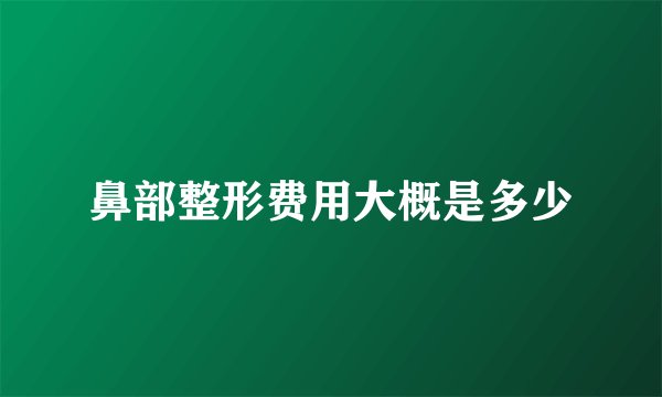 鼻部整形费用大概是多少