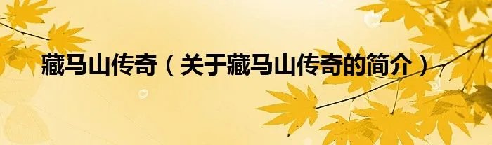藏马山传奇（关于藏马山传奇的简介）