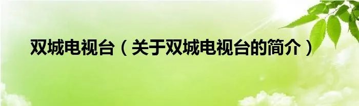 双城电视台(关于双城电视台的简介)