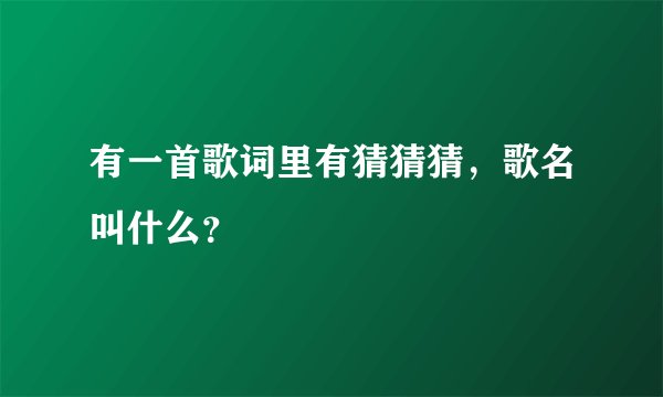 有一首歌词里有猜猜猜，歌名叫什么？