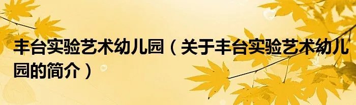 丰台实验艺术幼儿园(关于丰台实验艺术幼儿园的简介)