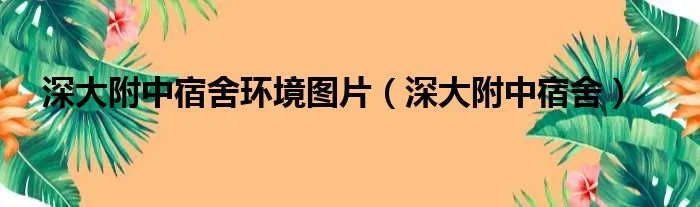 深大附中宿舍环境图片（深大附中宿舍）